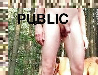 While walking in the forest, a guy strips naked and starts peeing