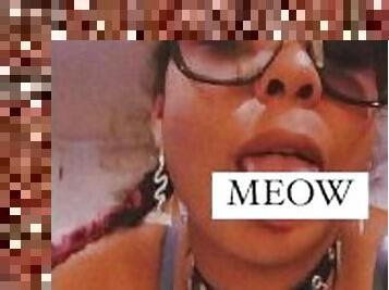 MEOW MEOW