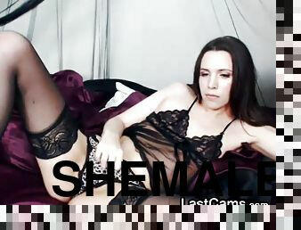 Desirous lingerie wearing shemale hooker