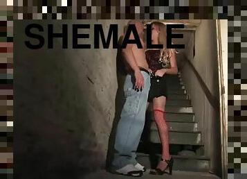 shemale, bdsm, kinky, bondage