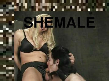 Wonderful shemale Jesse is humiliating Kade