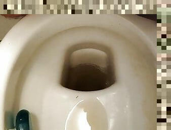 peeing in toilet who wanna drink it