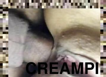 dilettant, anal-sex, latina, creampie