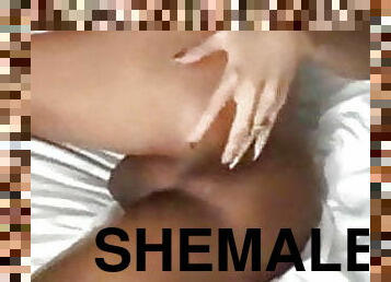 Shemale Hardcore Sex 116