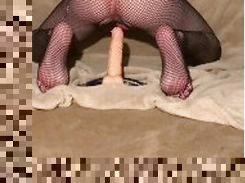 horny trans riding dildo in fishnets