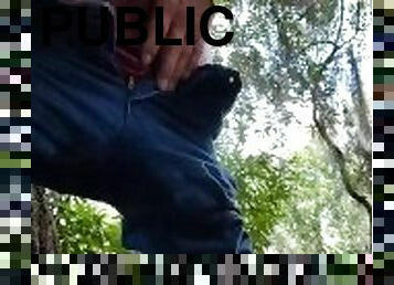 Public masturbation on hiking trail