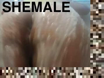 Big shemale booty all wet.