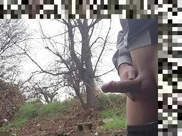 A cock peeing outside