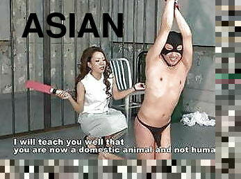 asiático, japonés, sadomasoquismo, esclava, amante, dominación, dominación-femenina, azotaina