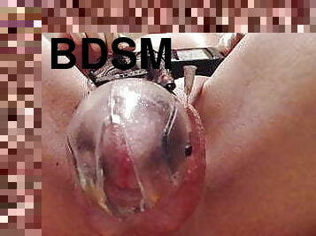 gay, bdsm, boules