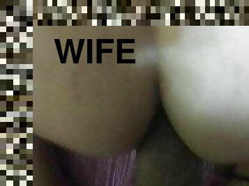 wife  6