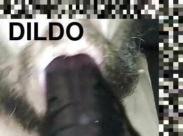 DILDO DEER VS MOI