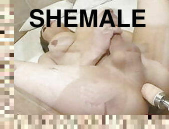 Dream Tranny - Shemales and Mechanical Lovers Compilation