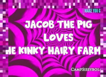 Jacob the pig loves the kinky hairy farmers