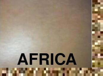 African ass