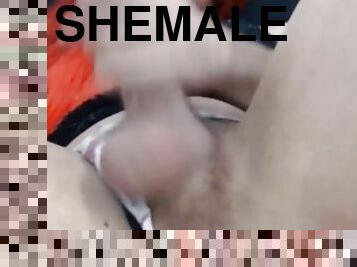 Huge Cock Sexy Shemale Performer