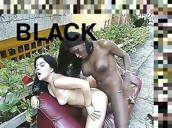 Black Shemale Fucks a White Girl in the Great Outdoors