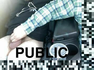 Chub jerks buddy in car at public park