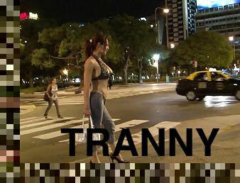 Streetwalking tranny picks up a guy and gives up the ass to him