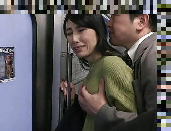 Japanese Milf gets it in the train