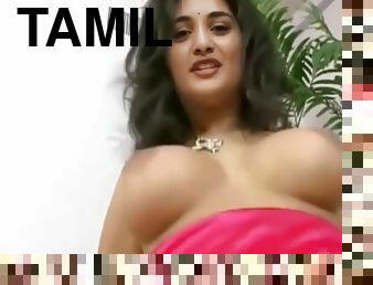 Tamil Actress In Nivetha Thomas Fucking