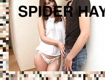 Spider Hayami