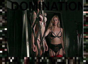 Dominance and submission