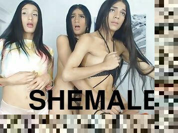 Three shemales really looks like triplets having fun with each other.