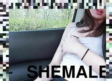 Cute shemale jerks off her huge dick in the car