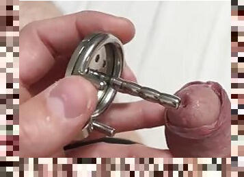 Releasing micro chastity cage with penis plug