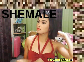 Shemale played with her big hard cock in front of her cam.