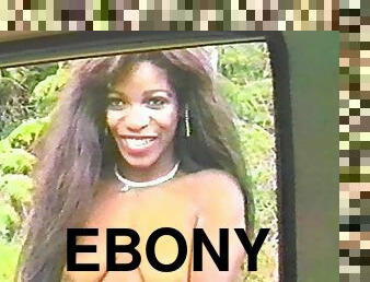 An Ebony-Skinned Girl With Big Natural Tits Enjoying A Hardcore Doggy Style Fuck