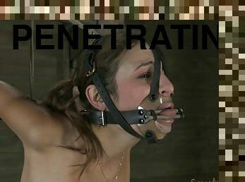 Nice ass slave penetrated doggystyle in BDSM torture