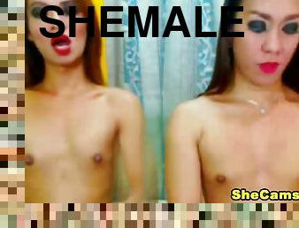 Shemale Ladies in a Hot Anal Show