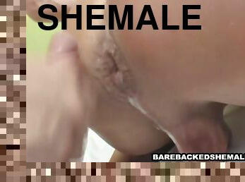 Super Hot And Horny Shemale Enjoys In Fucked