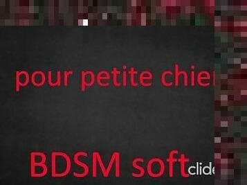 Joi pour petite chienne BDSM soft ( porno audio pour femme )