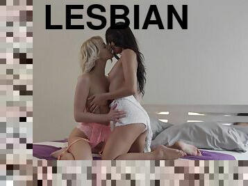 Two classy and lovely lesbians fondle each other's cunnies