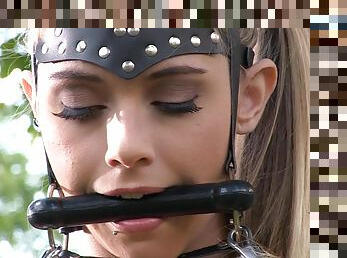 Hardcore outdoor BDSM scene with Chloé Toy
