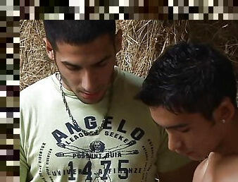 In the hayloft, two hot gay guys go at it hard until they have a powerful orgasm