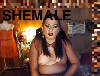 Kinky shemale wearing lingerie jerking off her penis - HD