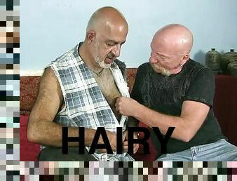 Hairy Daddy Fucks His Bald Friend
