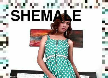 Cute femboy in a summer dress wants to show off her penis