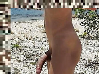 Sexy shemale exhibitionist strokes big uncut cock on beach