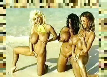 lielās-krūtis, ārā, skaistules, vintāža, pludmale, retro, blondīne, brunete, erotiskā