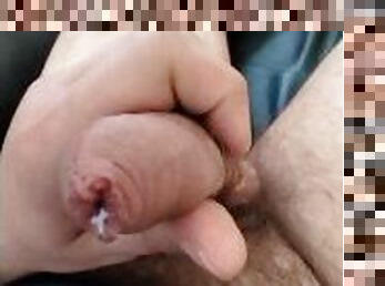 Precum uncut small Cook