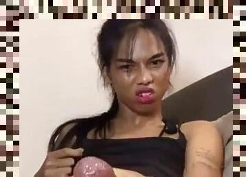 BIG COCK GIRL LADYBOY