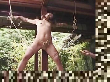 Japanese Bondage outdoor (uncensored)