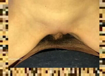 Pengasuh