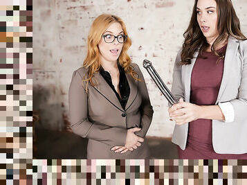 Reluctant Realtor