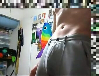 Flexible guy masturbate his powerful dick and sucks his